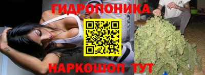 дурь Нальчик