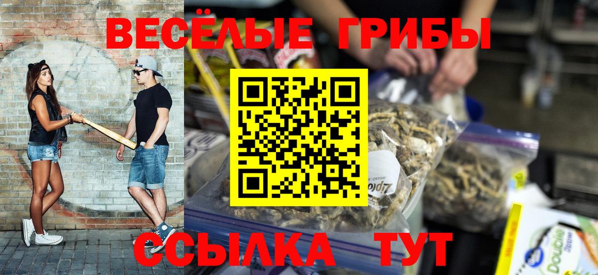 Псилоцибиновые грибы Psilocybe Заринск