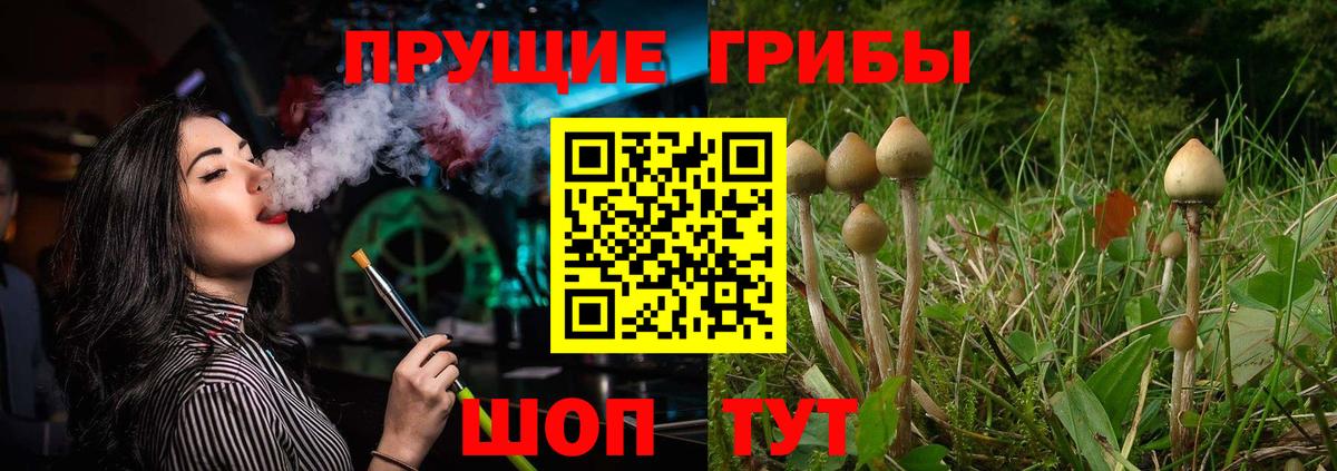 Галлюциногенные грибы Magic Shrooms  Галлюциногенные грибы Psilocybine cubensis  где купить наркотик  Вход с VPN  Заринск 